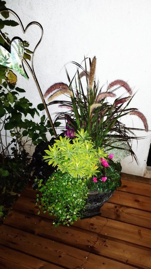 מלון מינכן Atelier & Gardenhouse Glamping מראה חיצוני תמונה